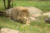 leipzig zoo-01_07_2011_zoo_allgemein_328